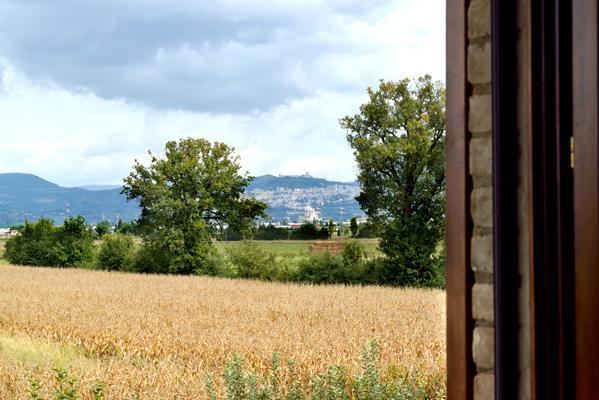 Agriturismo Bellarosa Assisi Exterior photo